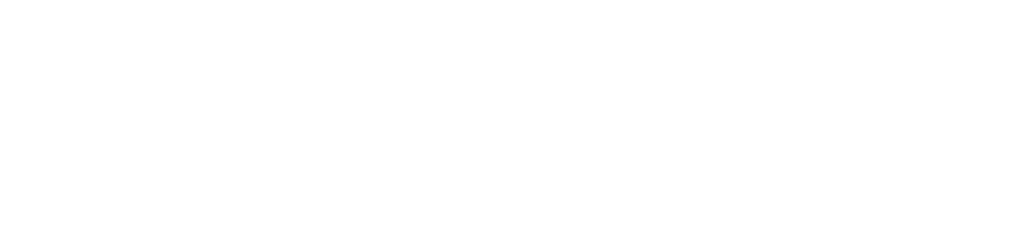 White Logo PNG